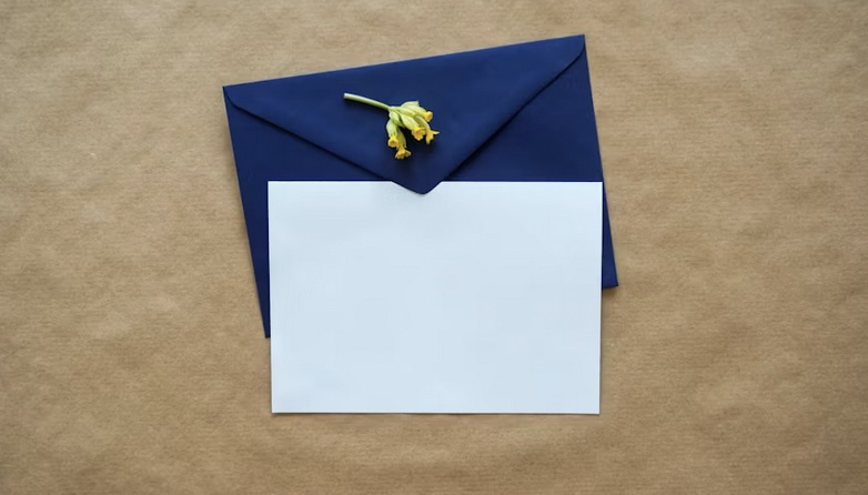 brief envelope